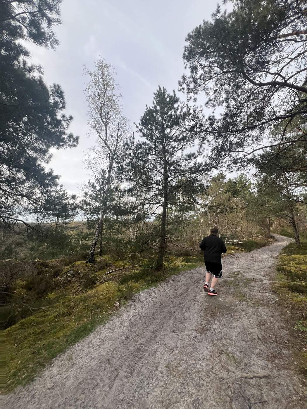 Course à pied en forêt lors d'une séance de coaching près de Milly-la-Forêt