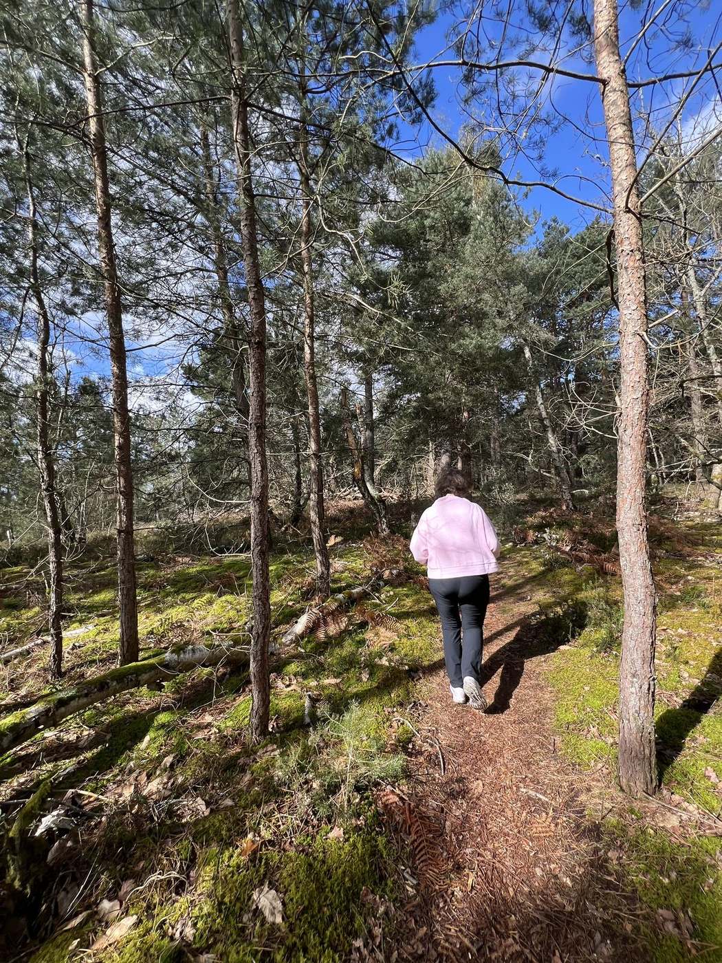 Marche active sur les sentiers près de La Ferté-Alais